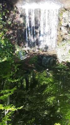 Promenade dans le domaine de Charance à Gap